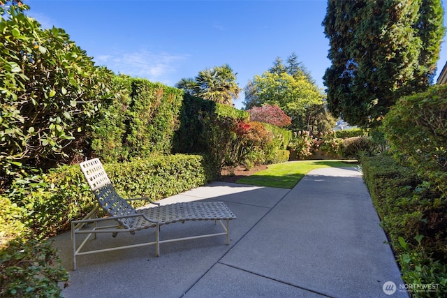 4662 95th Ave NE, Yarrow Point, WA 98004 - view of patio / terrace
