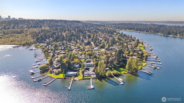 4662 95th Ave NE, Yarrow Point, WA 98004 - aerial view of a large body of water and a marina