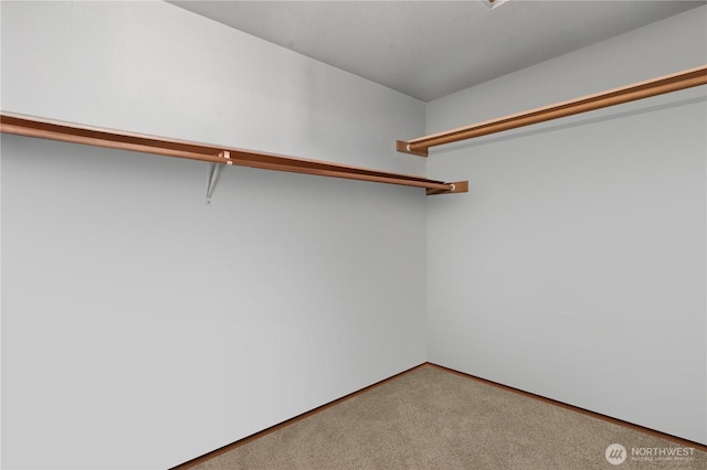 11402 185th St E, Puyallup, WA 98374 - photo 32