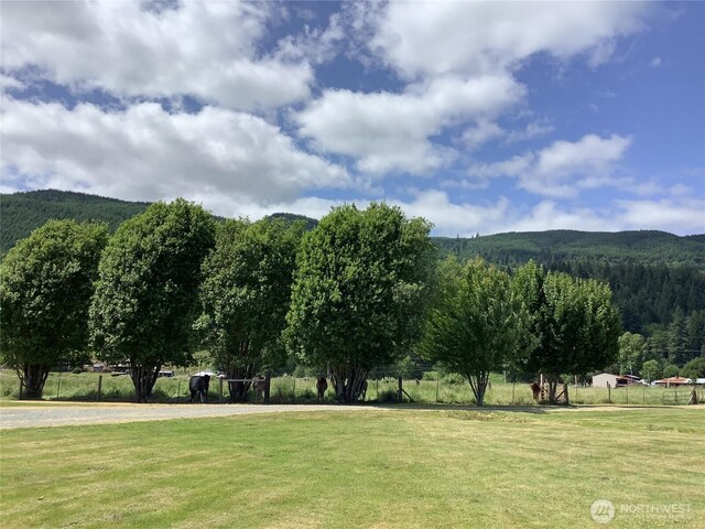 125 Lowery Rd, Glenoma, WA 98336 - photo 3