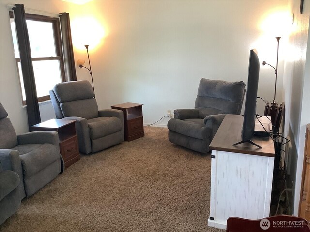 125 Lowery Rd, Glenoma, WA 98336 - photo 10