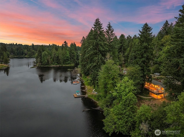 4120 Lake House Ln SE, Olympia, WA 98513 - water view with a heavily wooded area and a boat dock