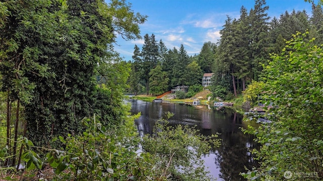 4120 Lake House Ln SE, Olympia, WA 98513 - water view
