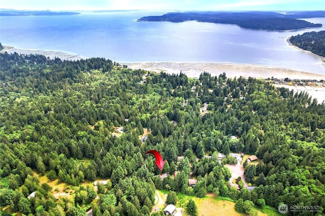 8200 NE View Ridge Ln, Poulsbo, WA 98370 - bird's eye view of a large body of water and a forest