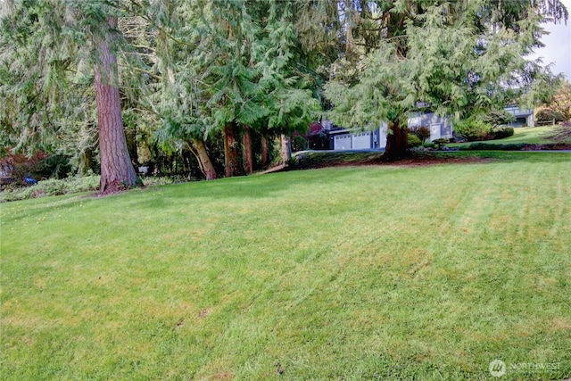 908 185th St SW, Lynnwood, WA 98037 - view of grassy yard with a garage