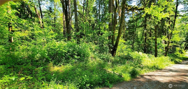 8290 Mt Baker Hwy, Deming, WA 98244