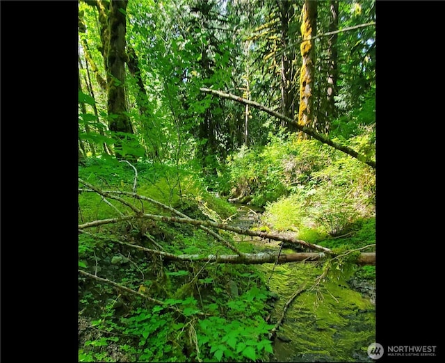 8290 Mt Baker Hwy, Deming, WA 98244
