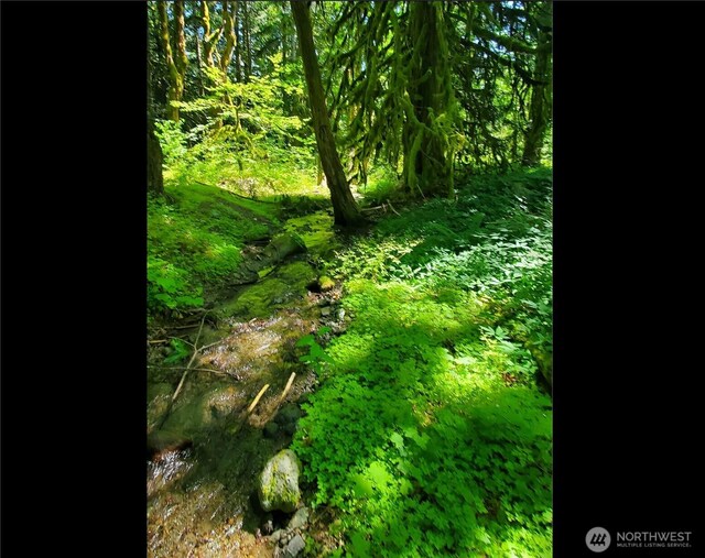 8290 Mt Baker Hwy, Deming, WA 98244