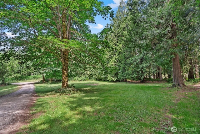39020 302nd Ave SE, Enumclaw, WA 98022 - photo 23