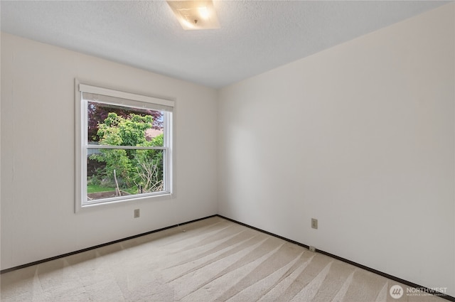 1538 Orchid Ct, Longview, WA 98632 - unfurnished room with light carpet and a textured ceiling