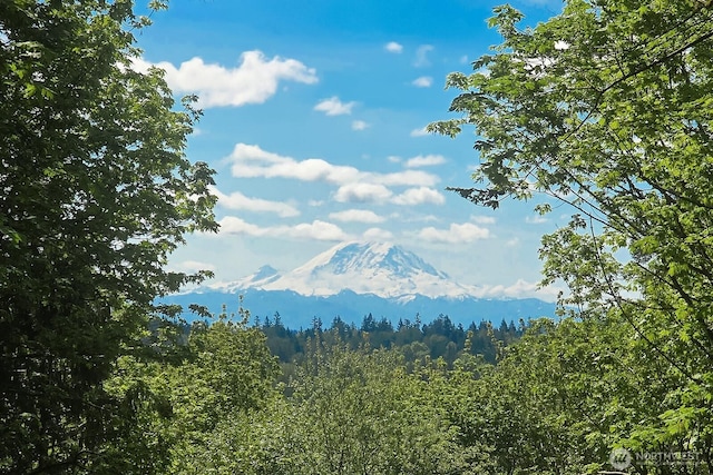10809 169th Ave SE, Renton, WA 98059 - photo 40