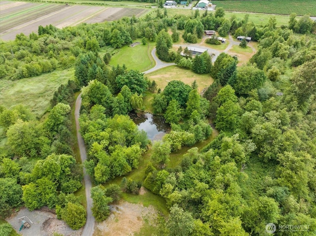 7009 Oat Coles Rd, Everson, WA 98247 - photo 37