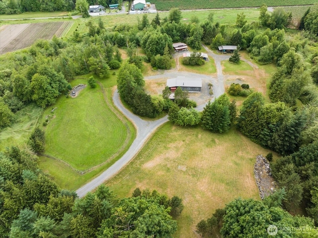 7009 Oat Coles Rd, Everson, WA 98247 - photo 24