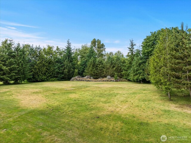 7009 Oat Coles Rd, Everson, WA 98247 - photo 35