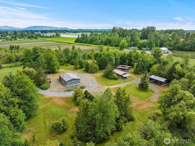 7009 Oat Coles Rd, Everson, WA 98247 - photo 3