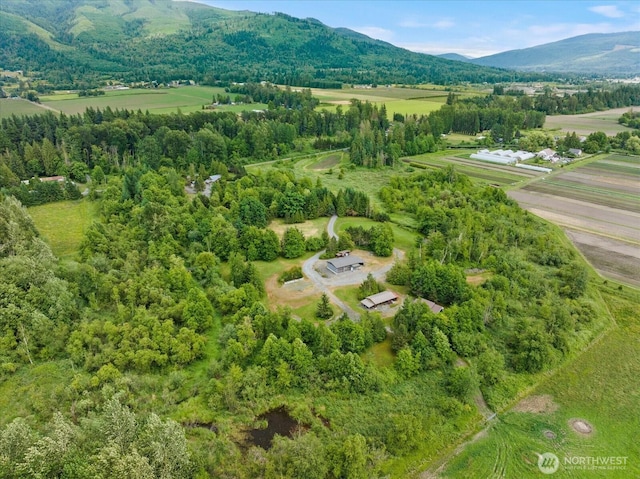 7009 Oat Coles Rd, Everson, WA 98247 - photo 36