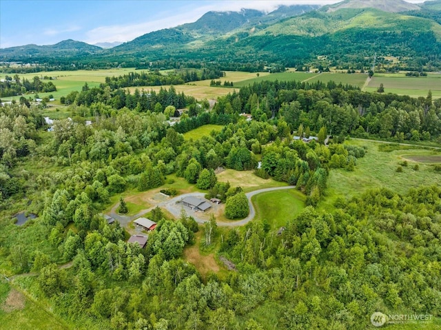 7009 Oat Coles Rd, Everson, WA 98247 - photo 39