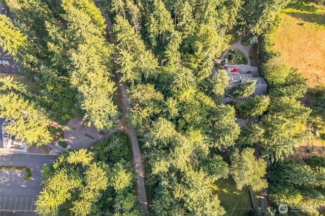 24230 218th Ave SE, Maple Valley, WA 98038 - aerial overview of property's location