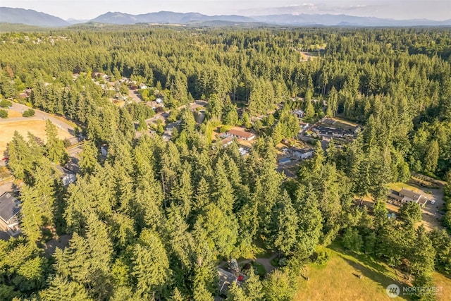 24230 218th Ave SE, Maple Valley, WA 98038 - aerial view of property's location with a forest and a mountain backdrop