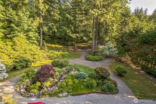 24230 218th Ave SE, Maple Valley, WA 98038 - view of yard with a view of trees