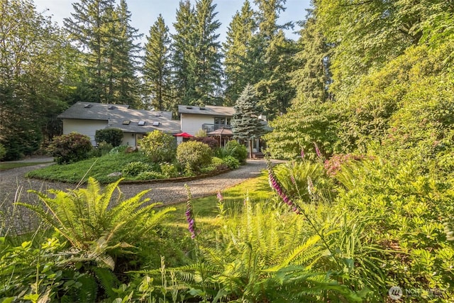 24230 218th Ave SE, Maple Valley, WA 98038 - view of yard