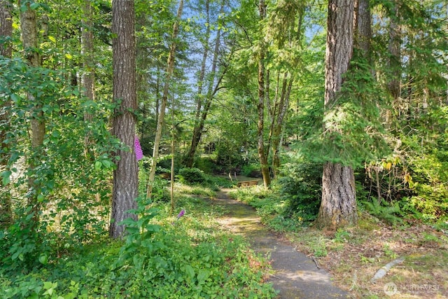 7829 Outback Ave NW, Silverdale, WA 98383 - photo 32