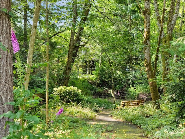7829 Outback Ave NW, Silverdale, WA 98383 - photo 34