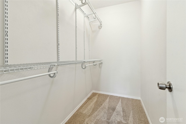 3006 SE 8th St Unit 2120, Renton, WA 98058 - spacious closet featuring light carpet