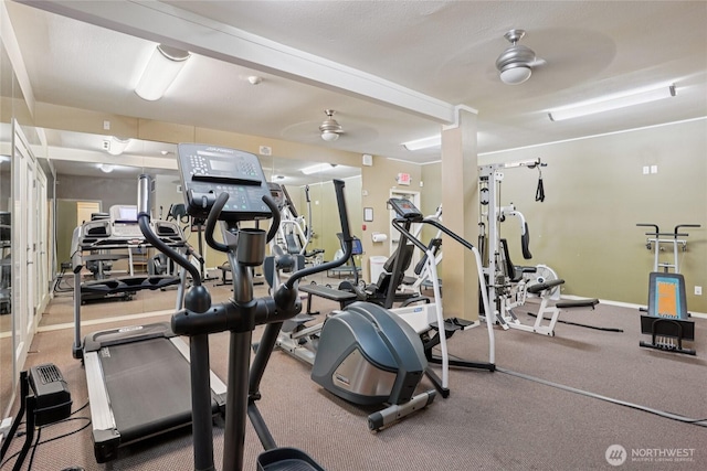 33020 10th Ave SW Unit E204, Federal Way, WA 98023 - exercise room featuring a ceiling fan