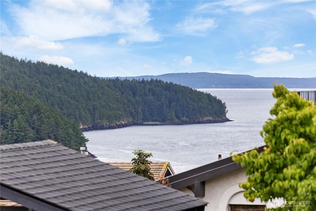 2204 Dublin Pl, Anacortes, WA 98221 - water view featuring a heavily wooded area and a mountain backdrop