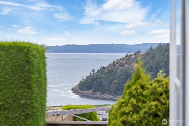 2204 Dublin Pl, Anacortes, WA 98221 - water view with mountains