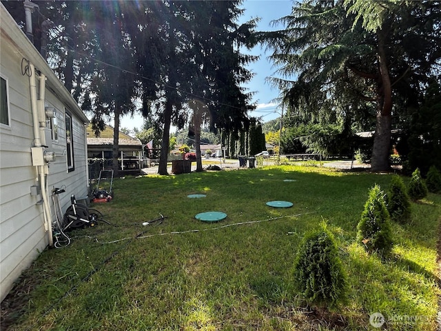 14806 131st Ave SE, Renton, WA 98058 - view of grassy yard