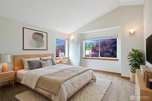 10736 Whitman Ave N, Seattle, WA 98133 - bedroom featuring lofted ceiling and carpet