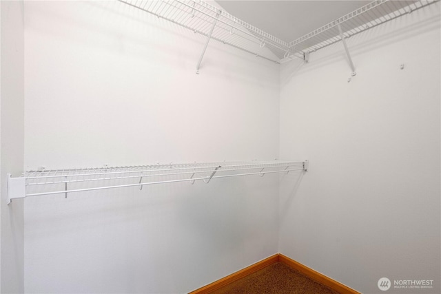 10736 Whitman Ave N, Seattle, WA 98133 - view of spacious closet