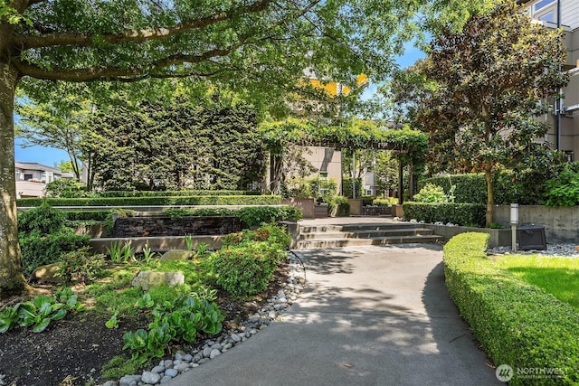 122 S State St Unit 207E, Kirkland, WA 98033 - surrounding community