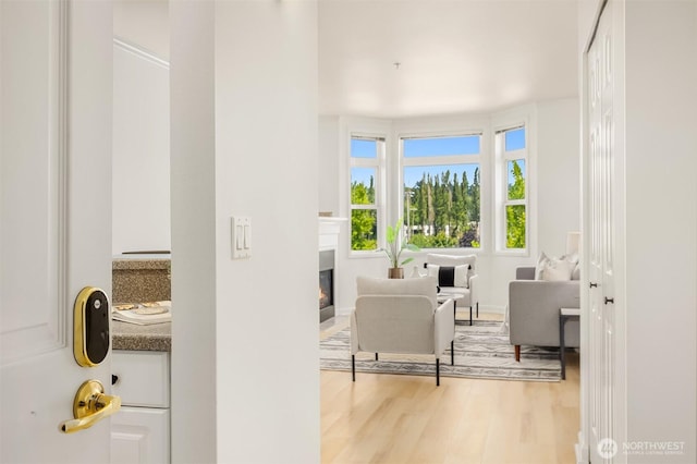 122 S State St Unit 207E, Kirkland, WA 98033 - interior space featuring a glass covered fireplace and wood finished floors