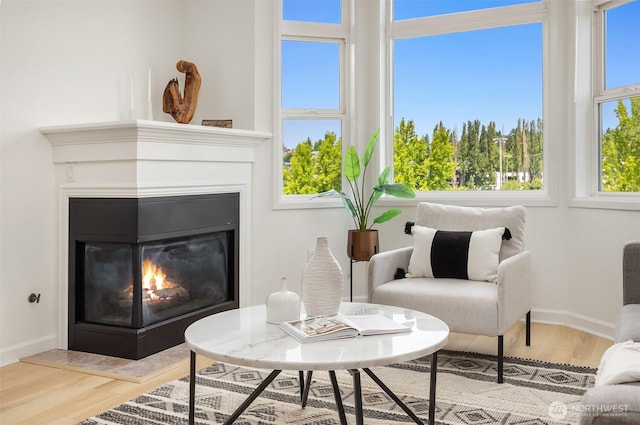 122 S State St Unit 207E, Kirkland, WA 98033 - living area featuring wood finished floors and a glass covered fireplace