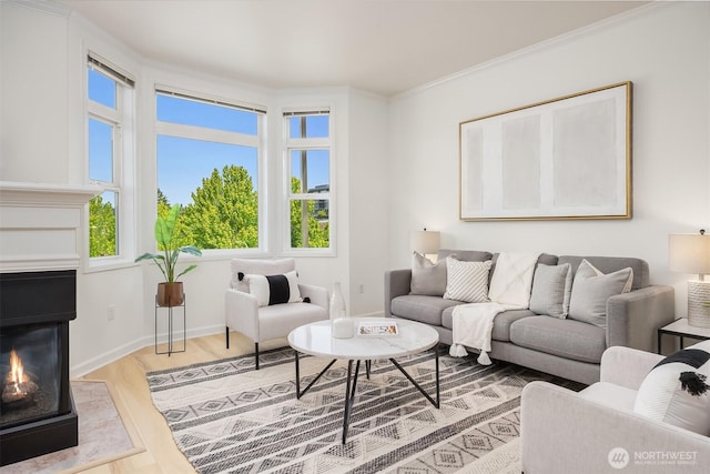 122 S State St Unit 207E, Kirkland, WA 98033 - living area featuring healthy amount of natural light, wood finished floors, a lit fireplace, and ornamental molding