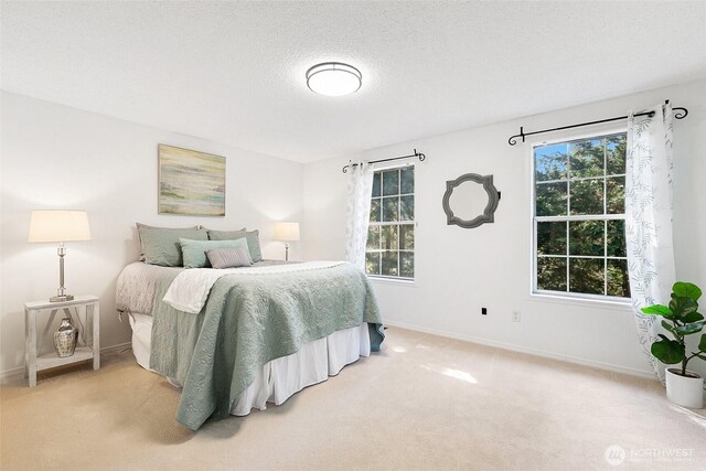 10015 NE 129th Pl, Kirkland, WA 98034 - photo 18