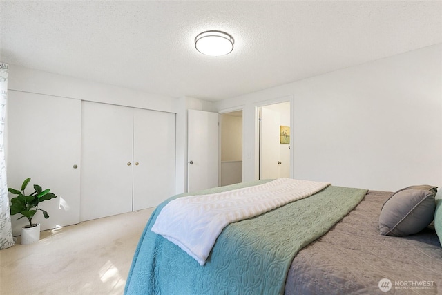 10015 NE 129th Pl, Kirkland, WA 98034 - photo 19