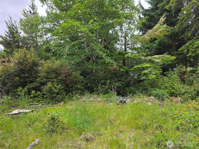 27312 W St, Ocean Park, WA 98640