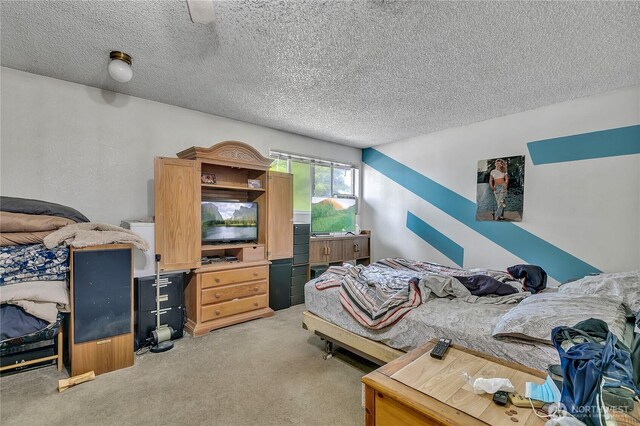 1823 M St NE Unit 1823, Auburn, WA 98002 - bedroom with light carpet and a textured ceiling