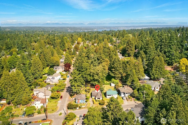 10022 8th Ave NE, Seattle, WA 98125 - aerial view of a forest
