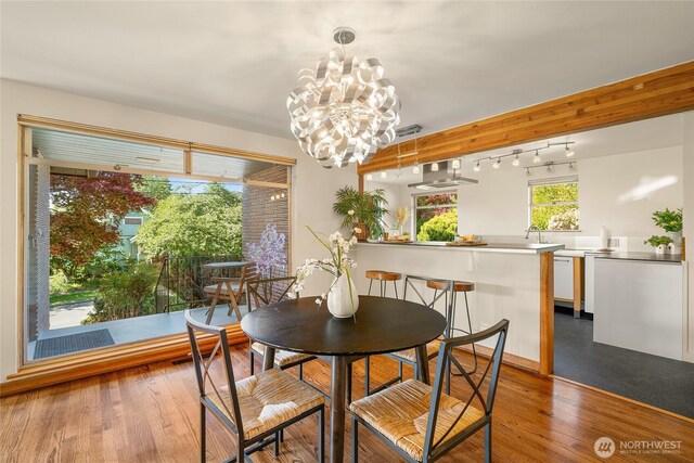 2842 NW 67th St, Seattle, WA 98117 - dining area featuring wood finished floors, a chandelier, and rail lighting