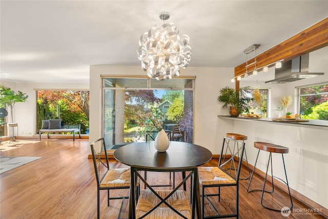 2842 NW 67th St, Seattle, WA 98117 - dining space with wood finished floors and a chandelier