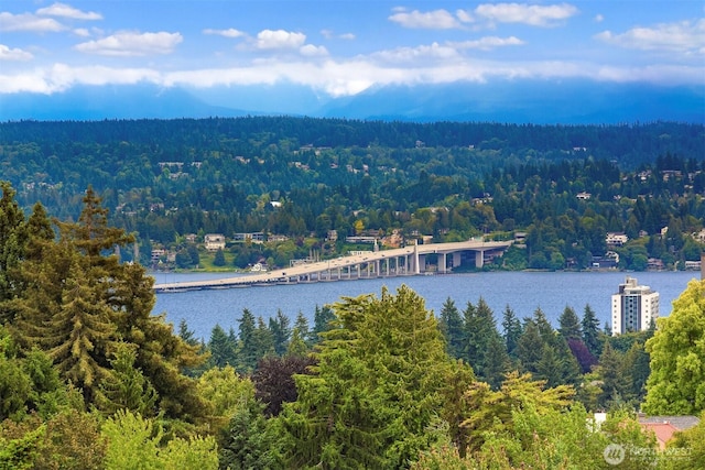 1244 15th Ave E Unit 9, Seattle, WA 98112 - water view with a forest and a notable bridge