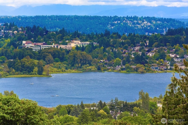 1244 15th Ave E Unit 9, Seattle, WA 98112 - water view with a forest
