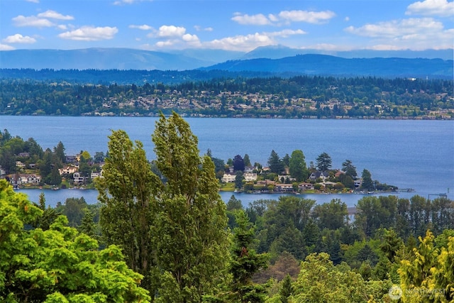 1244 15th Ave E Unit 9, Seattle, WA 98112 - bird's eye view of a water and mountain view