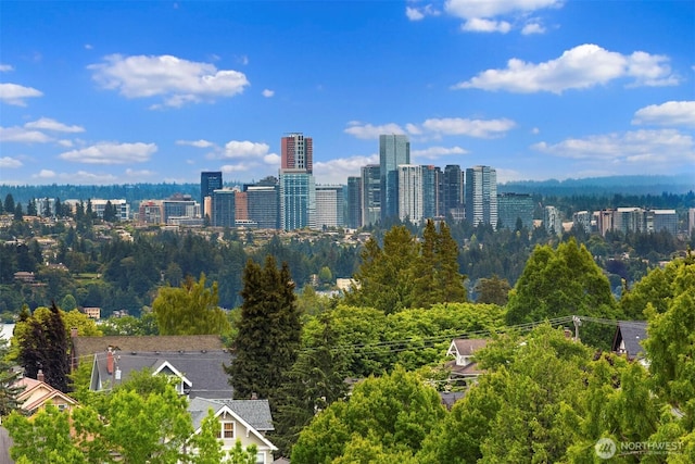 1244 15th Ave E Unit 9, Seattle, WA 98112 - city view