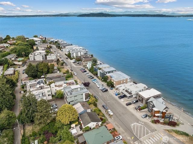 3002 Alki Ave SW, Seattle, WA 98116 - aerial view of a nearby body of water